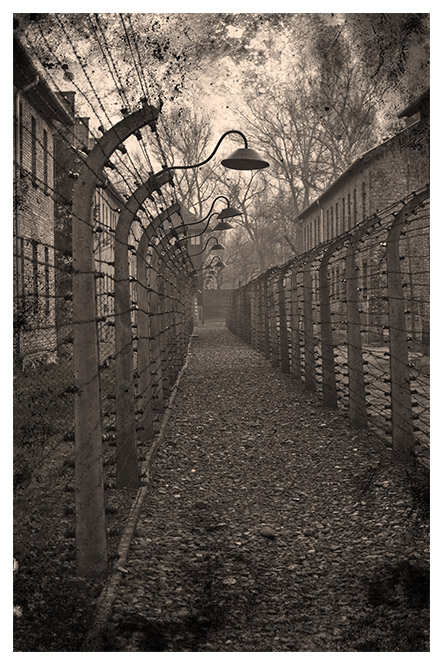 concentratiekamp Auschwitz-Birkenau